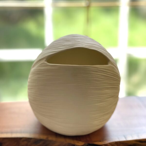 Seed Vase