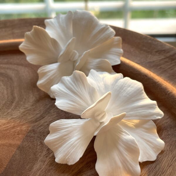 White Orchid Loose flower