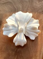White Orchid Loose flower - Image 3